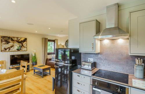 Birch Lodge 22 With Hot Tub, Newton Stewart - Foto 20