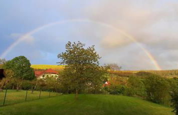 Nationalparkblick - Foto 9