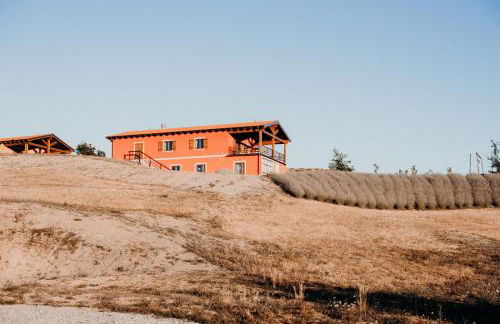 Azienda Agricola Saint Hubert - Foto 86