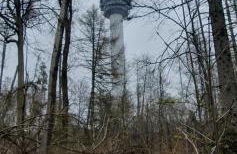 Ferienhaus Dani - Photo 19