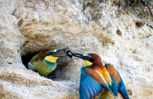 Monasteriohome Apto2 - Photo 21