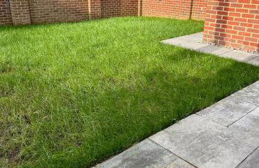 Lux House, Jennett's Park - Photo 10