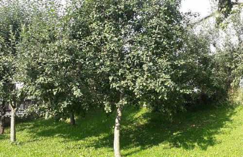 Landhof Sedlmair - Foto 17