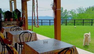 Terra Del Bosco Agriturismo - Foto 3, Garden