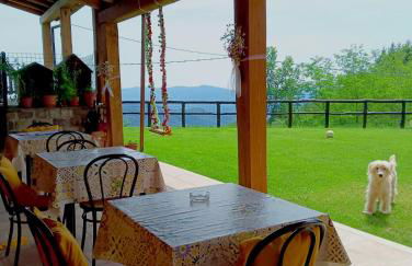 Terra Del Bosco Agriturismo - Foto 3