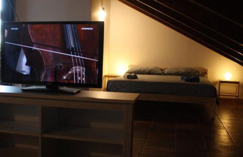 Tra il bosco e il lago - Foto 35