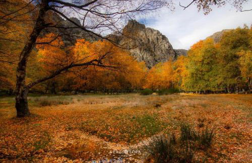 Rustic Terrace2 Bedrooms Farm House - Foto 30