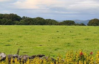 Quakers Field View - Foto 40