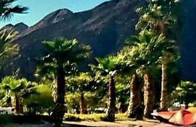 Rockin-River House, waterfront! - Foto 24