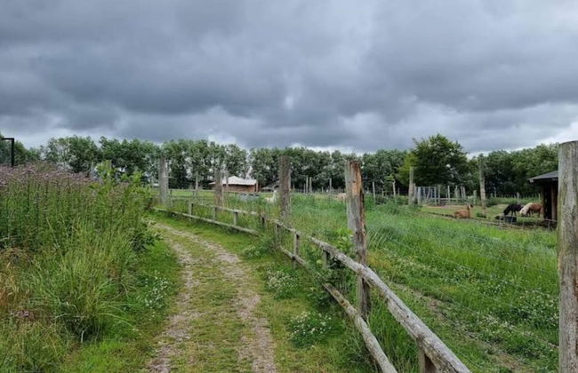 4 Person Holiday Home in Grevinge - Foto 11