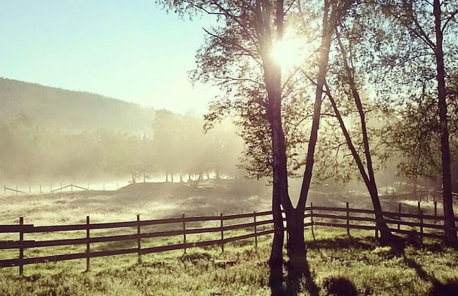 Furuheim Gard - Foto 31