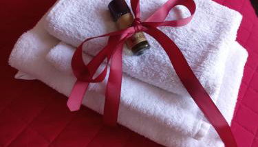 La Magnolia a 500mt dal mare - Foto 4