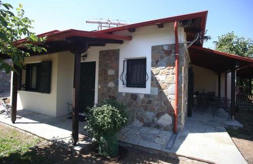 Boletus MushROOM - Foto 1