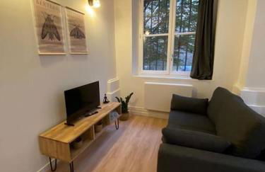 Cozy 1BR in Lyon Center - Foto 2