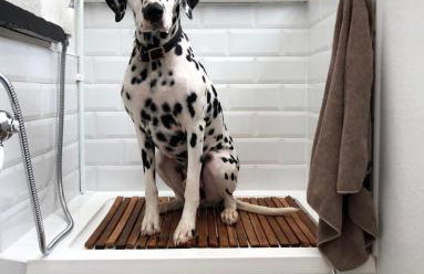 2 Bed in West Down oc-julyco - Foto 11