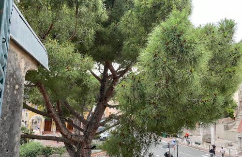 Duplex dans maison de village - Foto 9