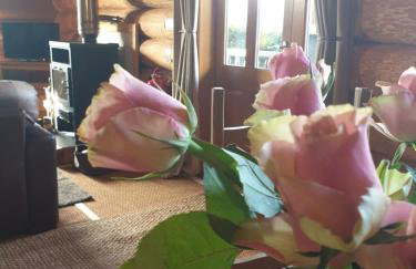 Newland Valley Log Cabins - Foto 58