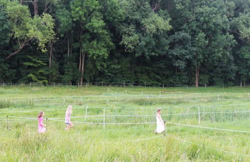 Ferienhaus in der Naehe der Ostsee - Foto 52