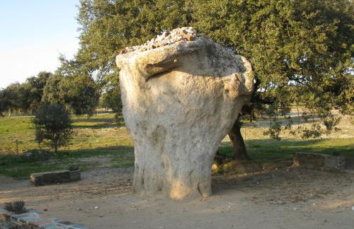 Casa da Comadre - Casas de Taipa - Foto 36