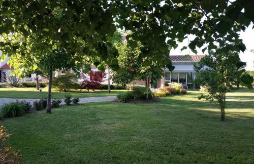 Relax garden villa 1ora da venezia - Foto 17