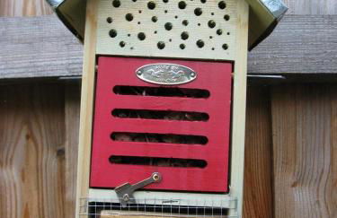 Ferienwohnungen Wildblume - Foto 7