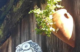 La Biescona de Lluces d'Ítaca Conexión y Arraigo - Foto 23