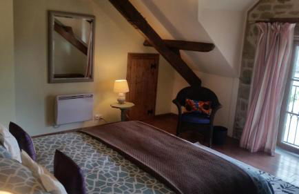 L'Effraie des Clochers - Foto 12