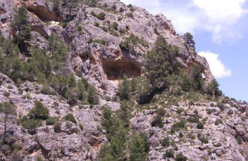 Casas Rurales Venta Ticiano - Foto 35