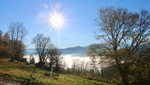 La MARQUAIRERIE - Foto 5