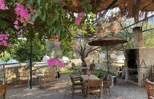 Belfin Apart - Photo 18