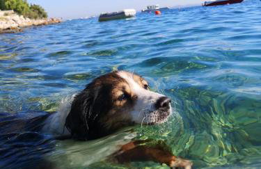 Denis Apartment - Photo 54