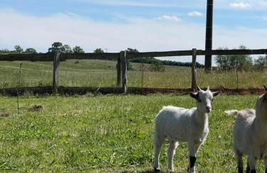 Neu renoviert: 11 Zimmer mit großer Wohnküche, mitten in der Natur - Foto 38