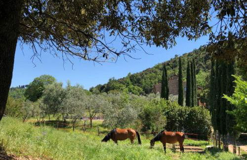 Agriturismo TerraMadre - Foto 49