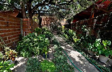 Casinha da vovó - Photo 6