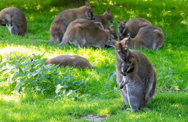 Apartment Near the Beach - Photo 17
