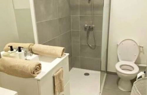 Appartement coup de coeur en centre-ville - Foto 9