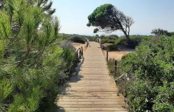 Casa Palmera - Foto 21