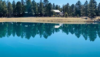 LilyBear Cabin - Foto 5