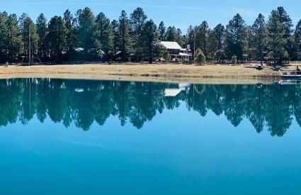 LilyBear Cabin - Foto 5