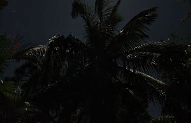 Island Paradise Awaits You - Foto 58