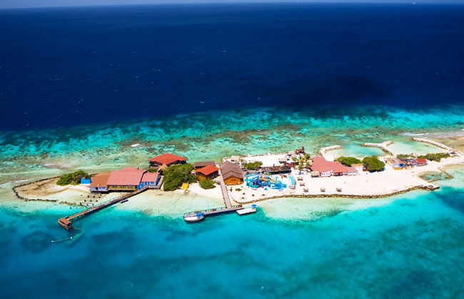 Palm Island in Bus - Tour di giornata completa - Foto 3