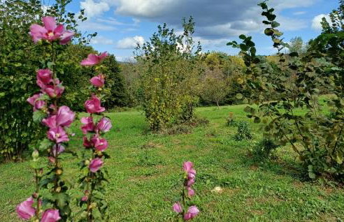 3 Bedroom Cozy Home In Krivaja Vojnicka - Foto 17