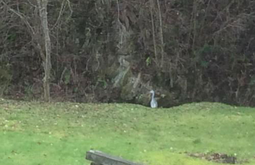 Ferienwohnung Blum - Foto 25