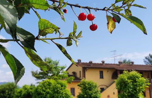 il Chiassetto Agriturismo No Kids - Foto 14
