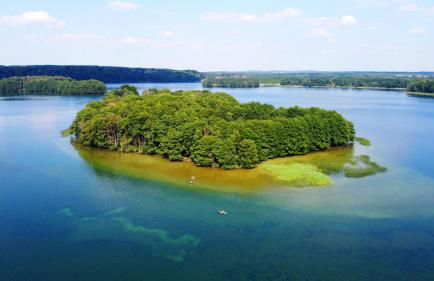 Ferienhaus SeeWaldMeer am Pinnower See bei Schwerin - Foto 19