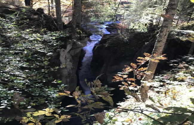Idyllic Apartment in Sibratsgfall - Photo 35