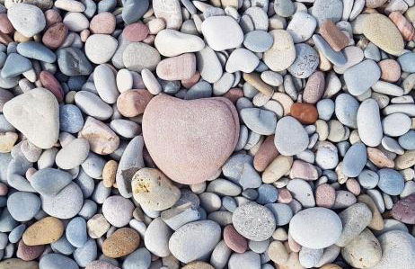 Chill'n Holidays - Foto 48