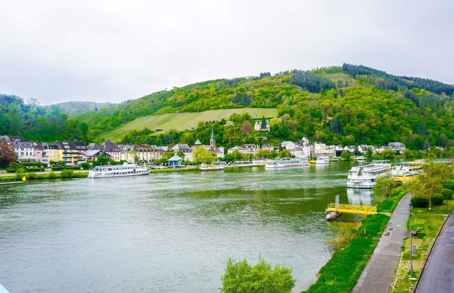 Julias Mosel Villa - Appartment Mark - Foto 33