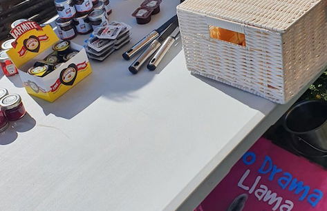 Glamping With Llamas - Foto 40