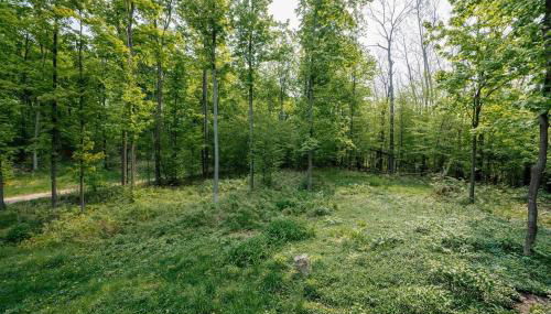 Lincoln Lodge - Foto 4